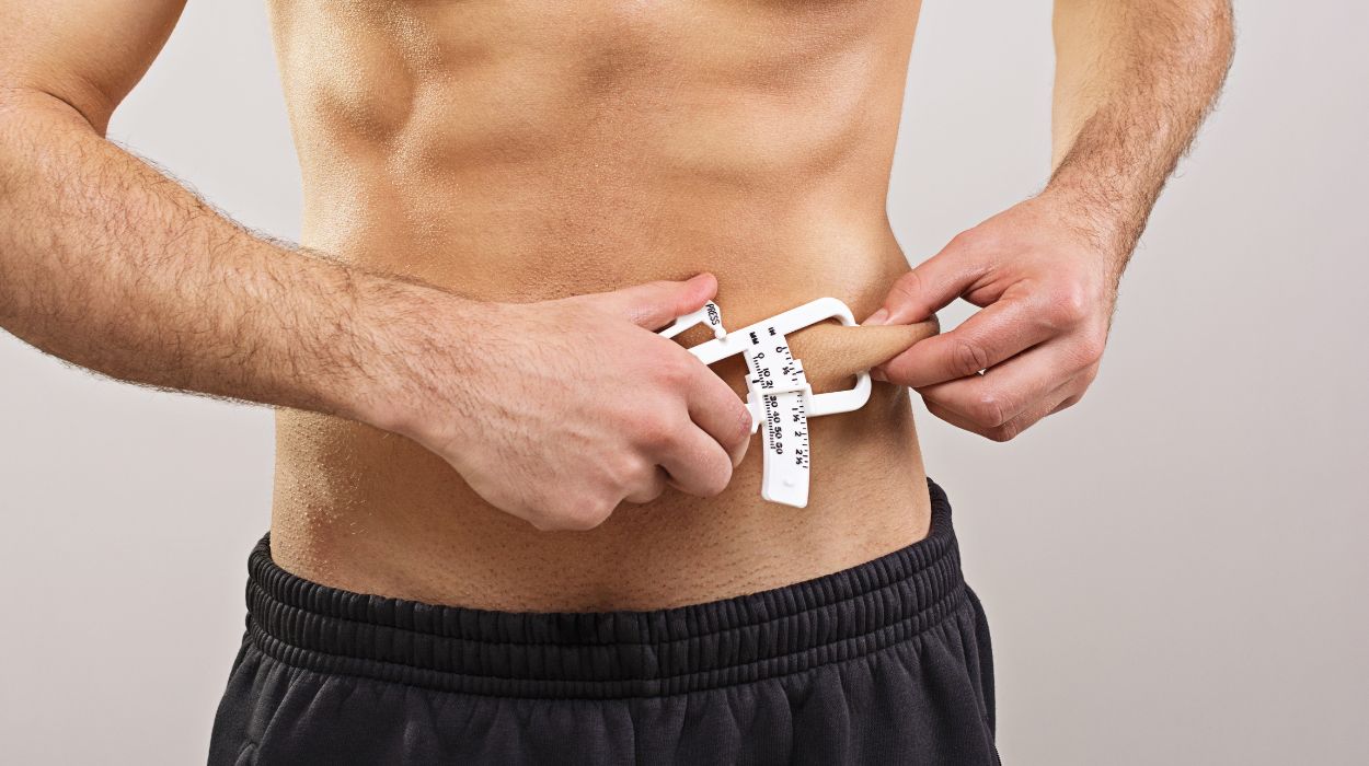 how to lose fat without losing muscle