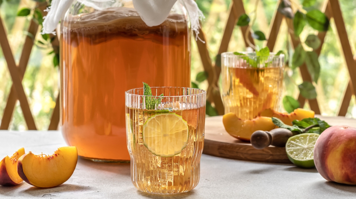 Kombucha Benefits 2024: How To Add It To Your Diet?