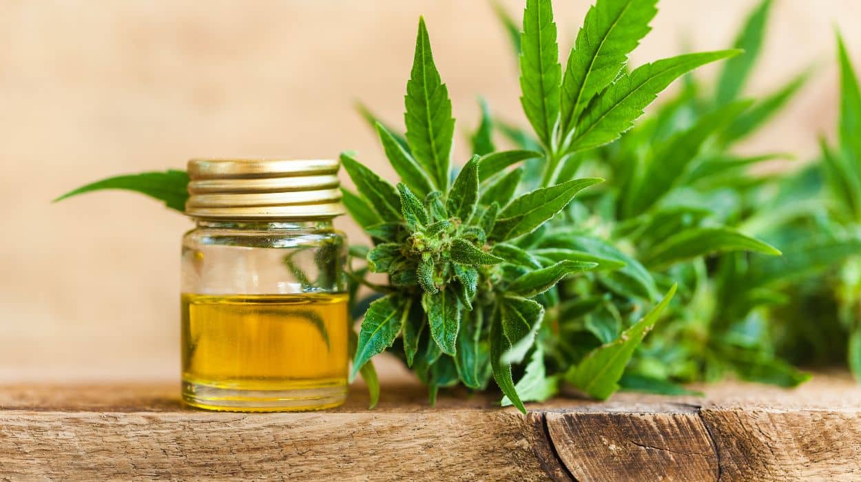 How-To-Select-The-Suitable-CBD-Oil