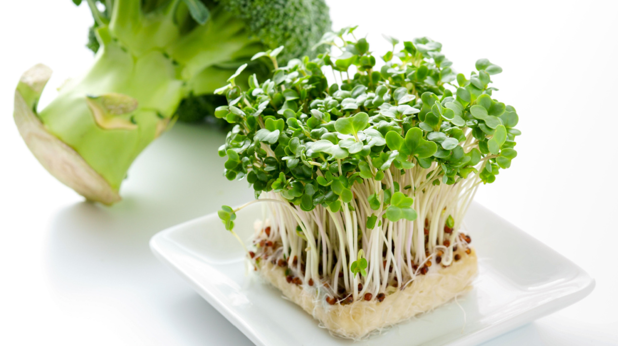 10 Health Benefits Of Broccoli Sprouts