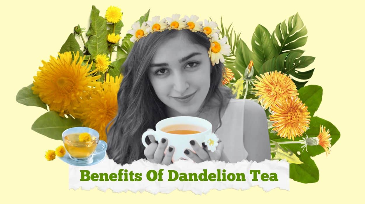 dandelion tea benefits