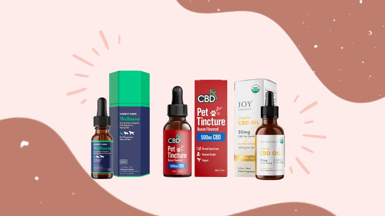 Best CBD Oil For Dog Allergies
