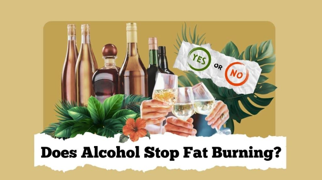 does alcohol stop fat burning