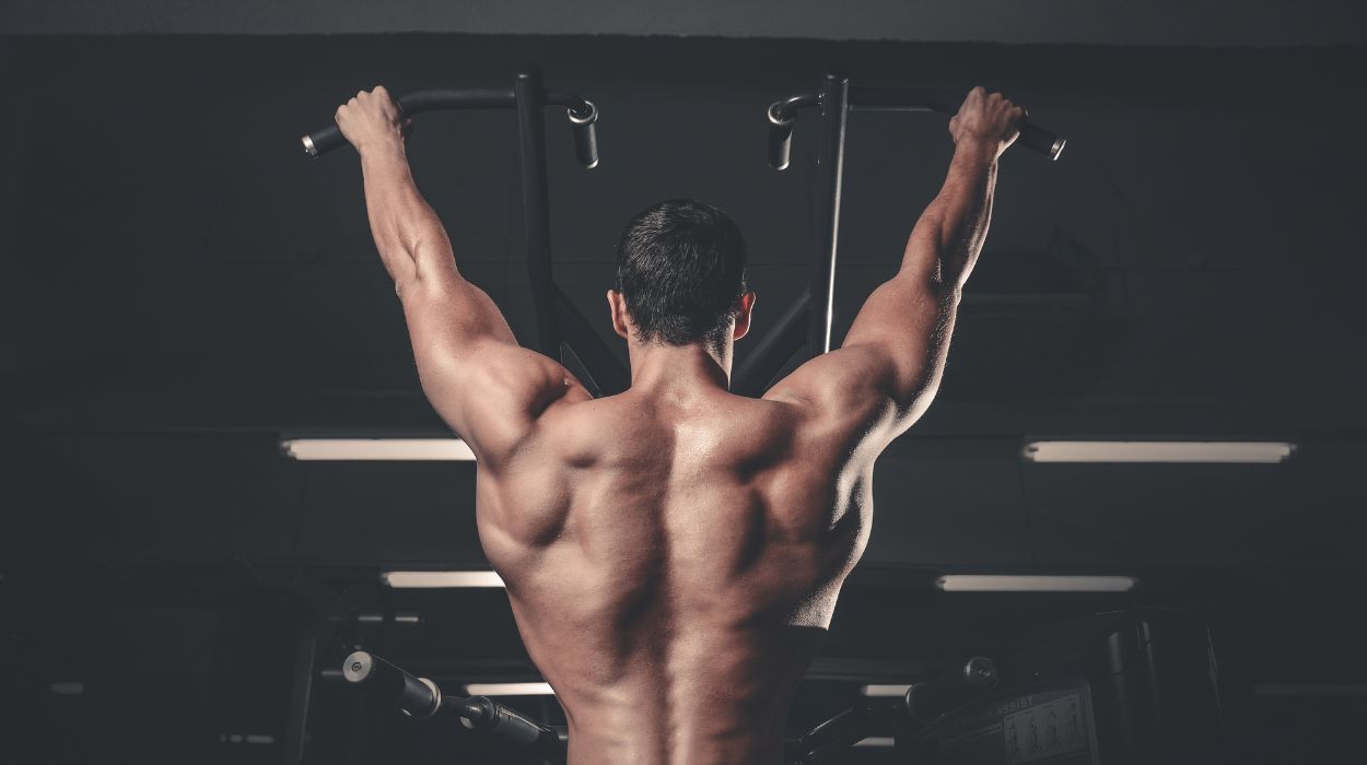 how to lose back fat
