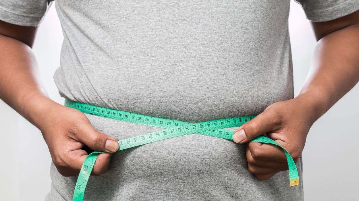 Impact Of Belly Fat On Men’s Health