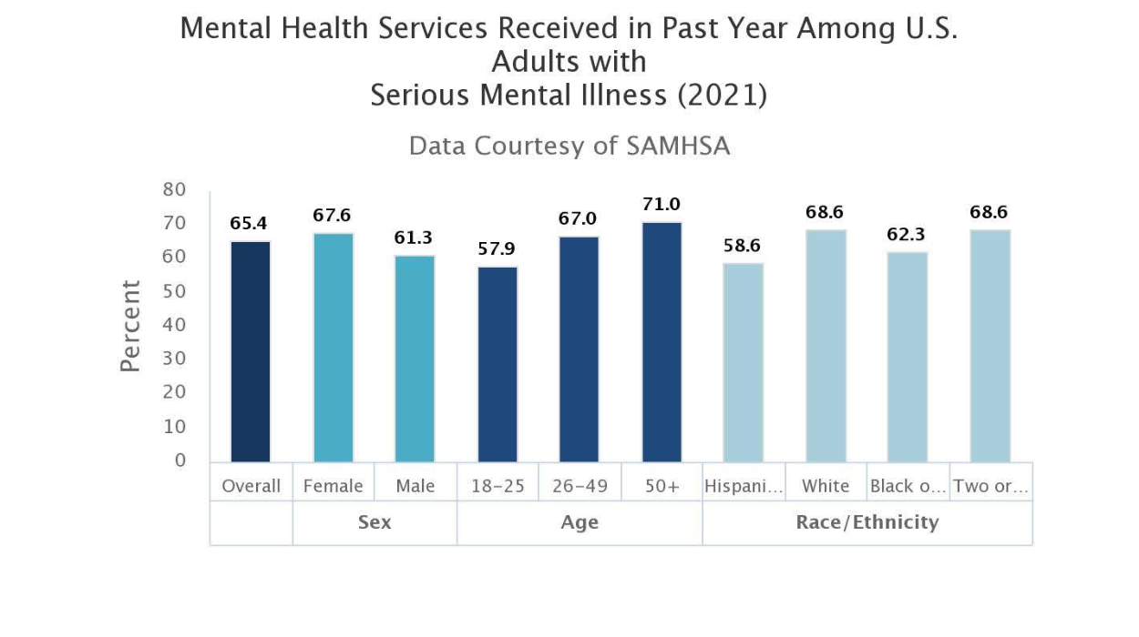 Mental Health Statistics 2024 Top Facts to Know