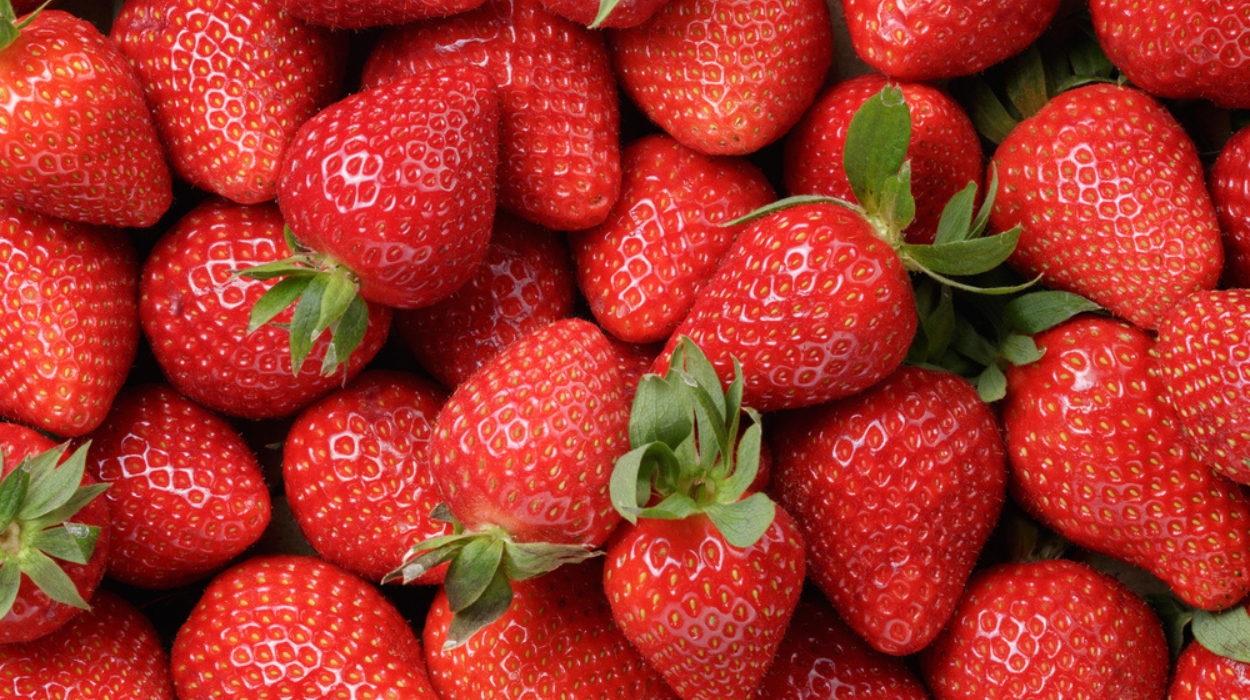 benefits of berries