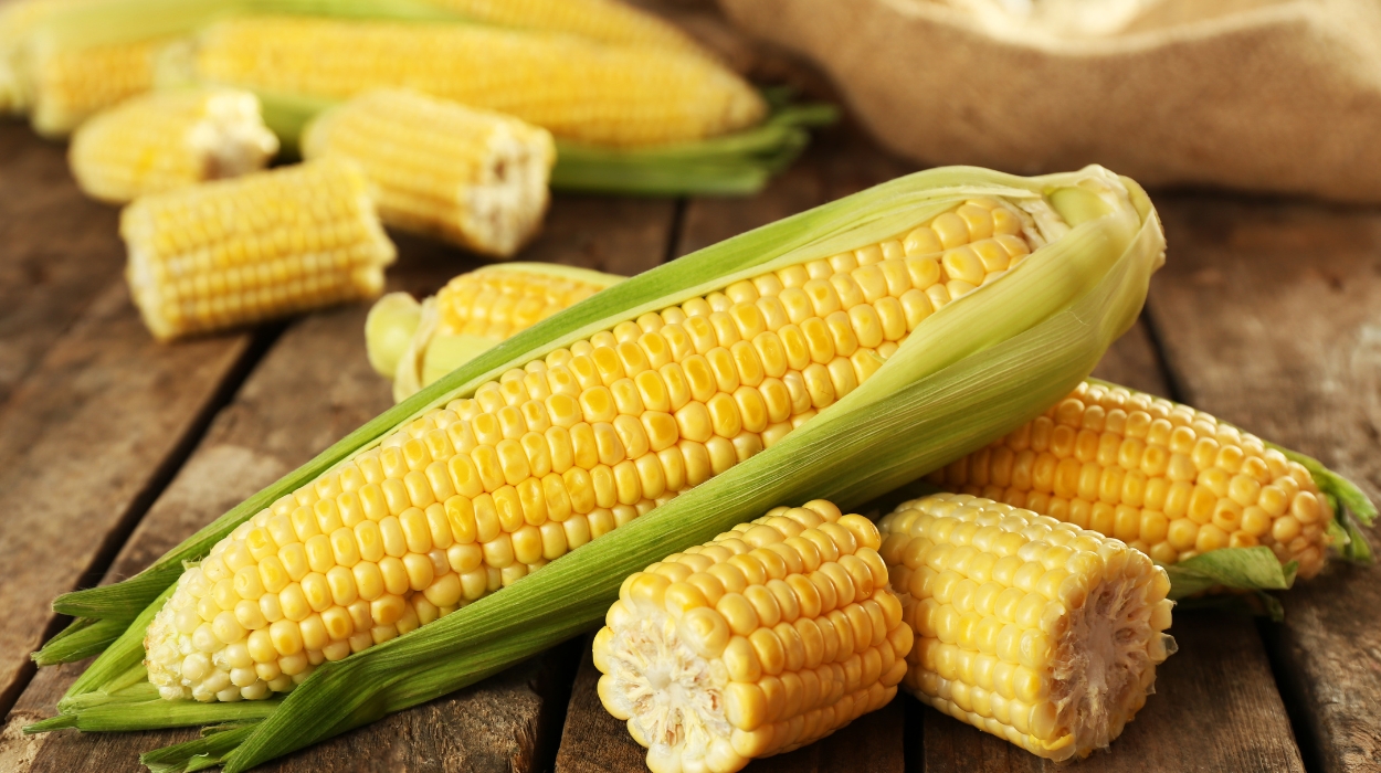 is corn good for weight loss