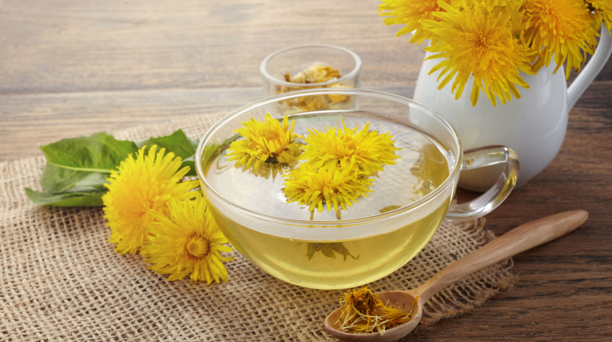 Tips For Drinking Dandelion Tea