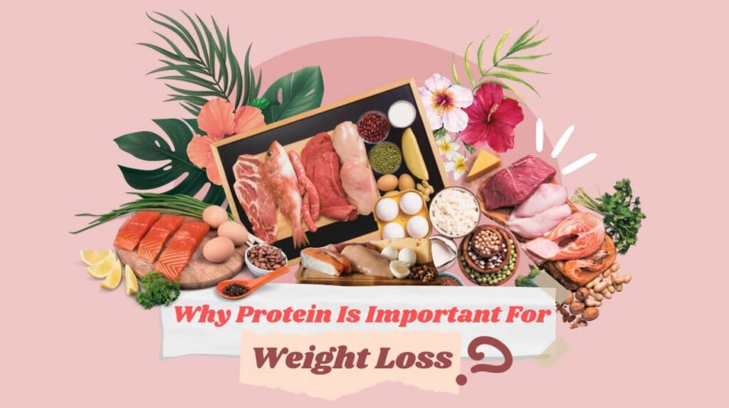 why protein is important for weight loss