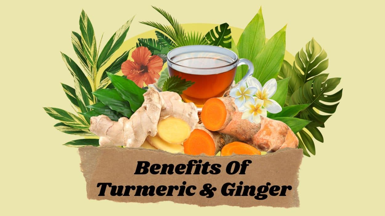 benefits of turmeric and ginger