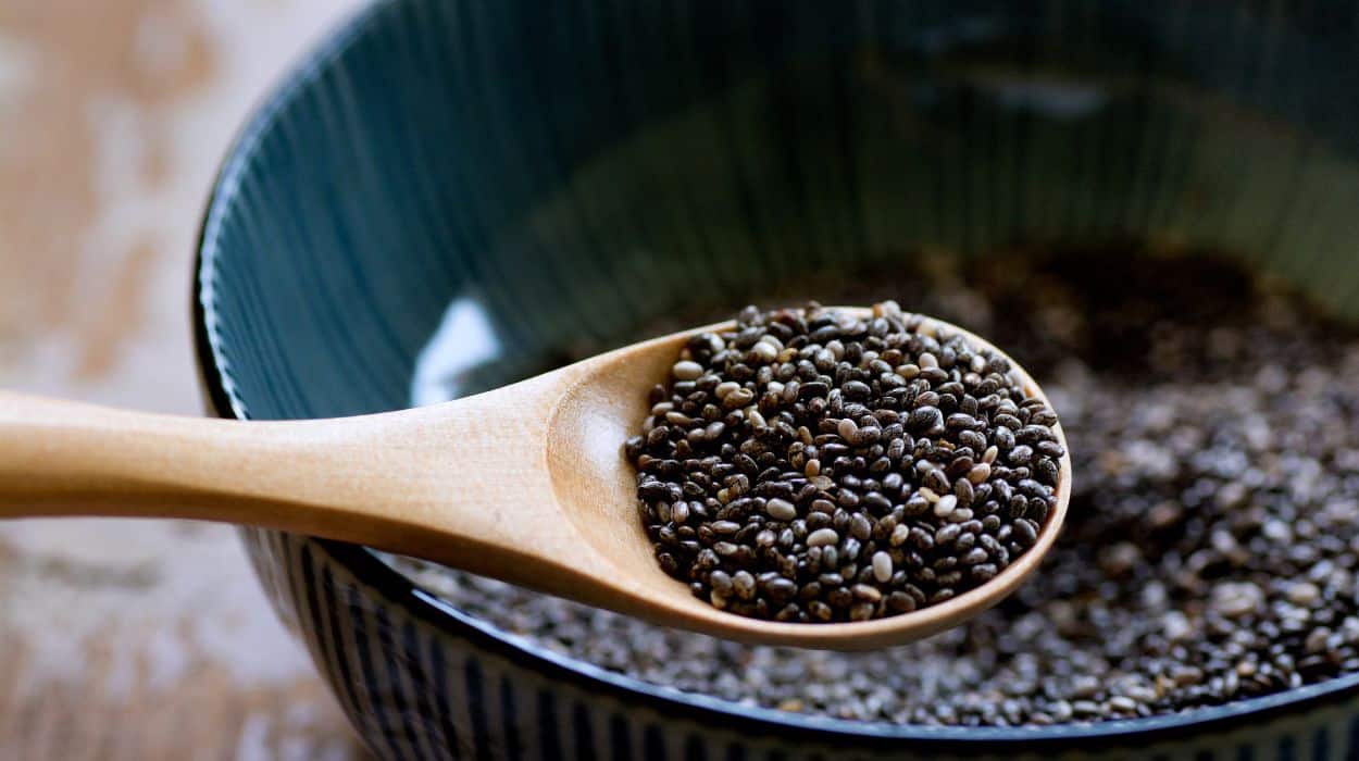 basil seeds vs chia seeds