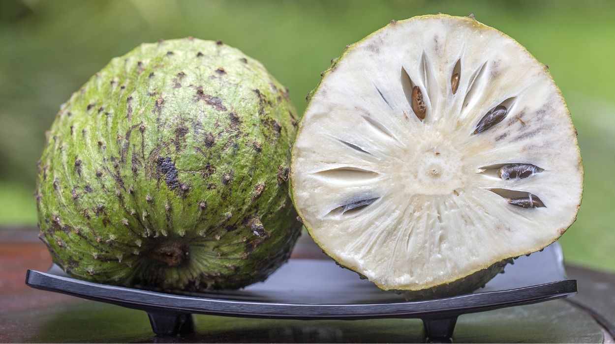 soursop benefits for cancer