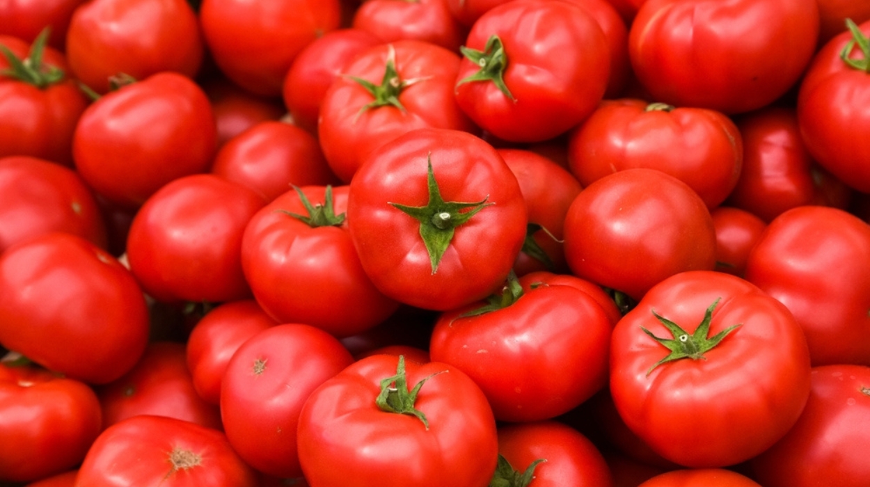are tomatoes good for weight loss