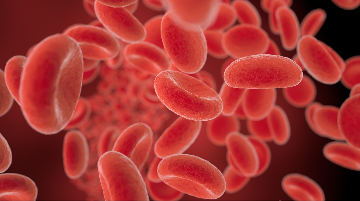 how to increase red blood cells