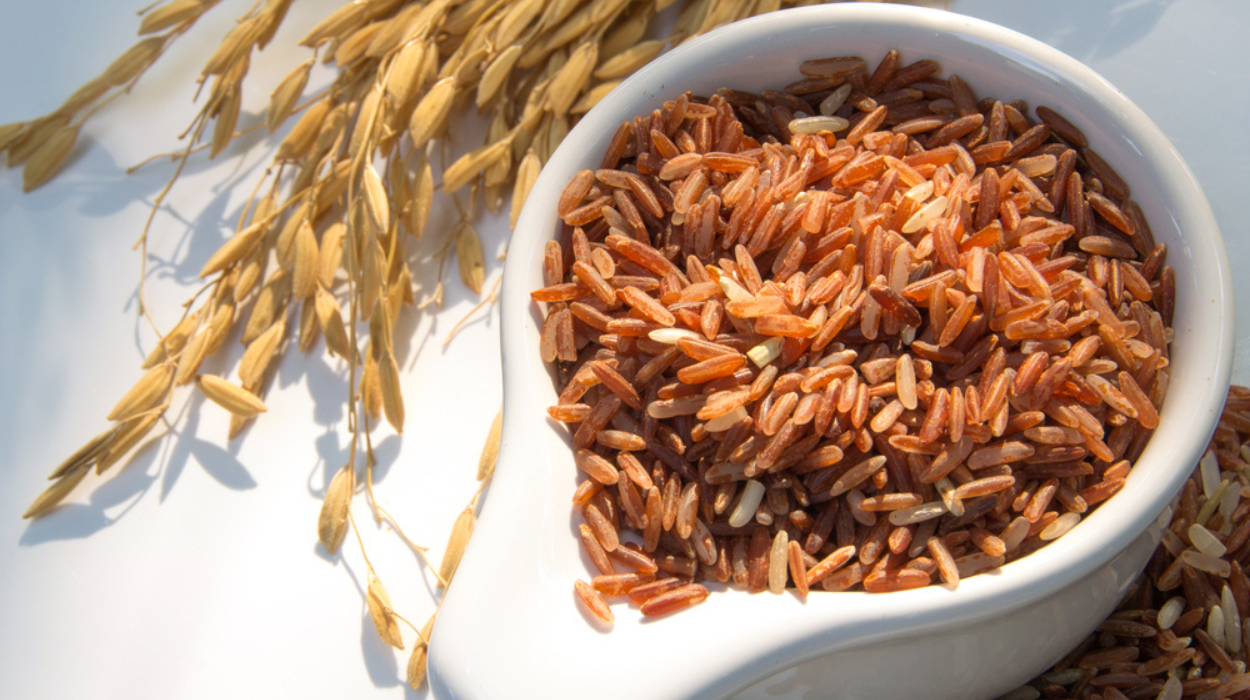is brown rice good for weight loss