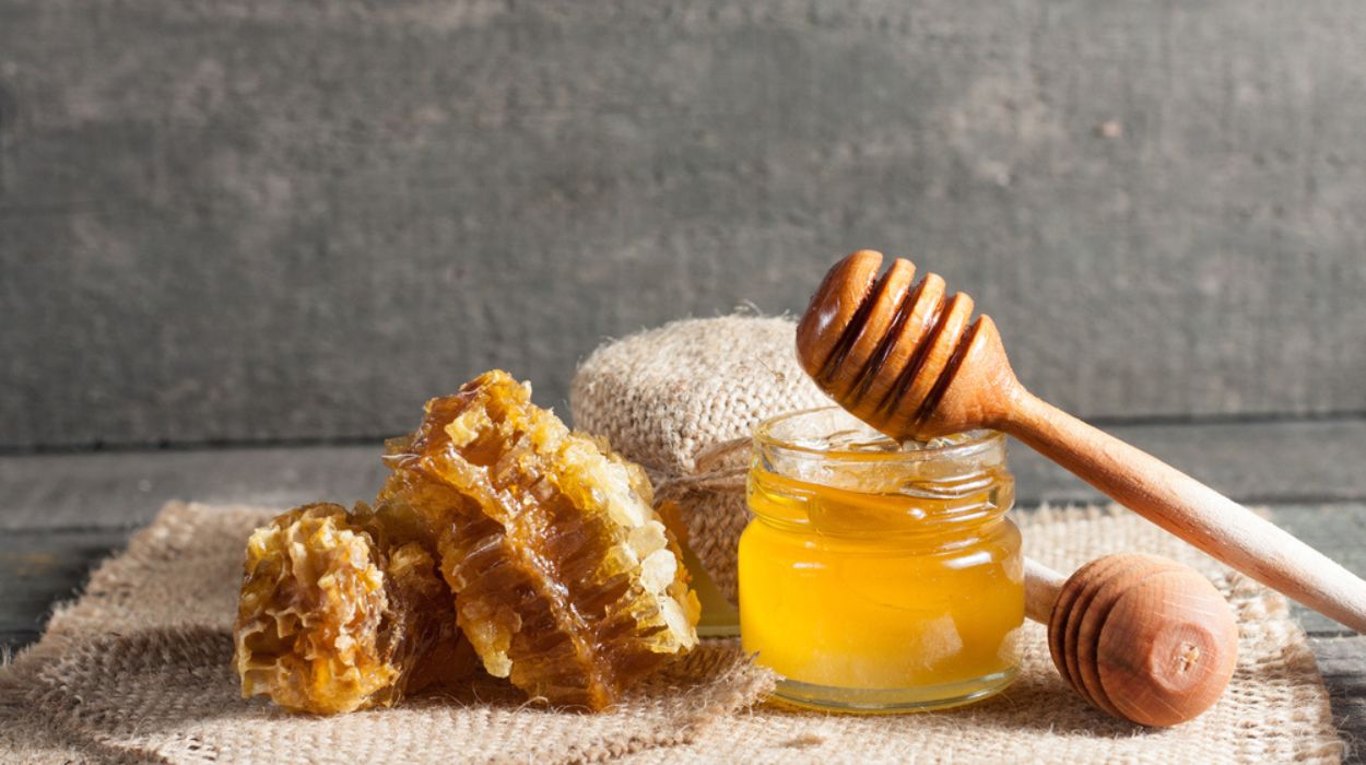 is honey good for weight loss