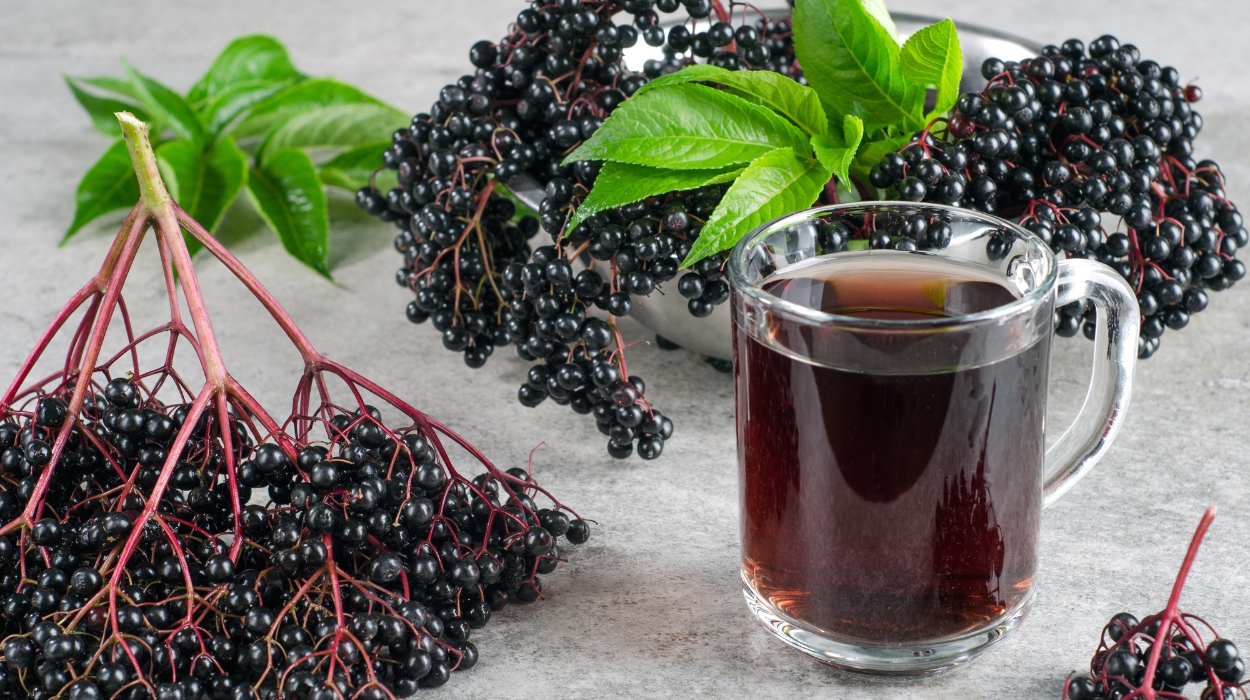 elderberry tea benefits