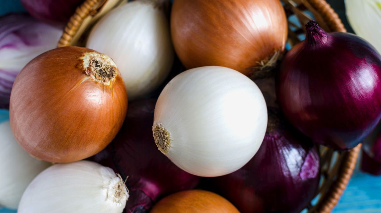 Can Onions Be Beneficial For Weight Loss?