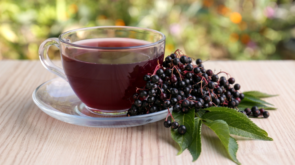 can you take elderberry daily