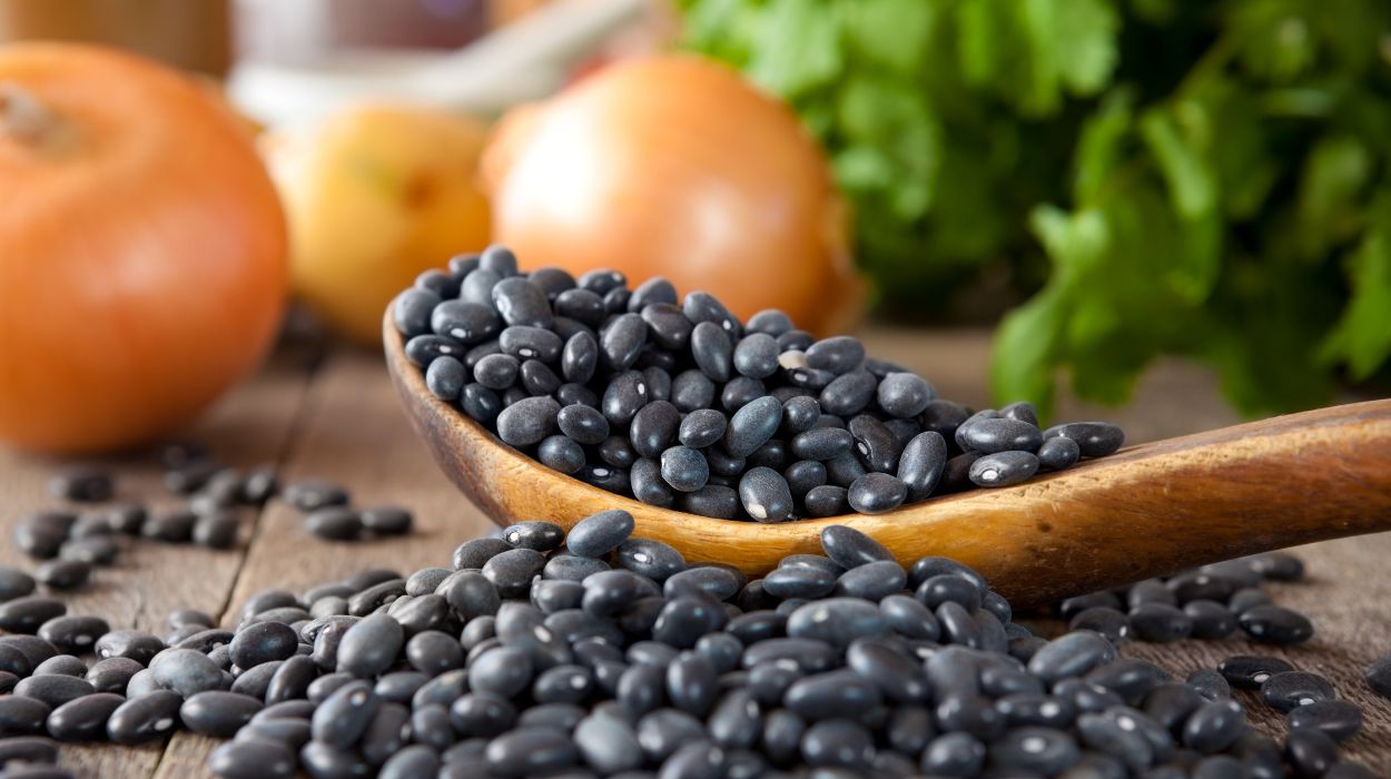 are black beans good for weight loss 1