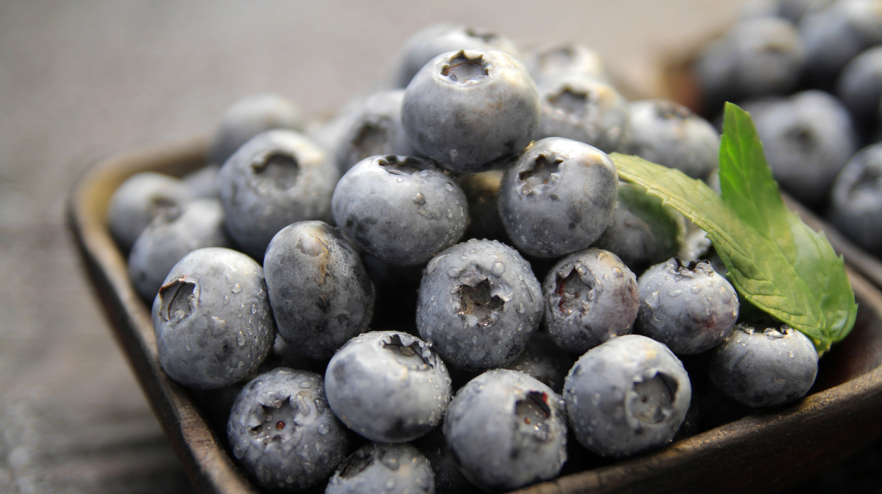 blueberries for weight loss