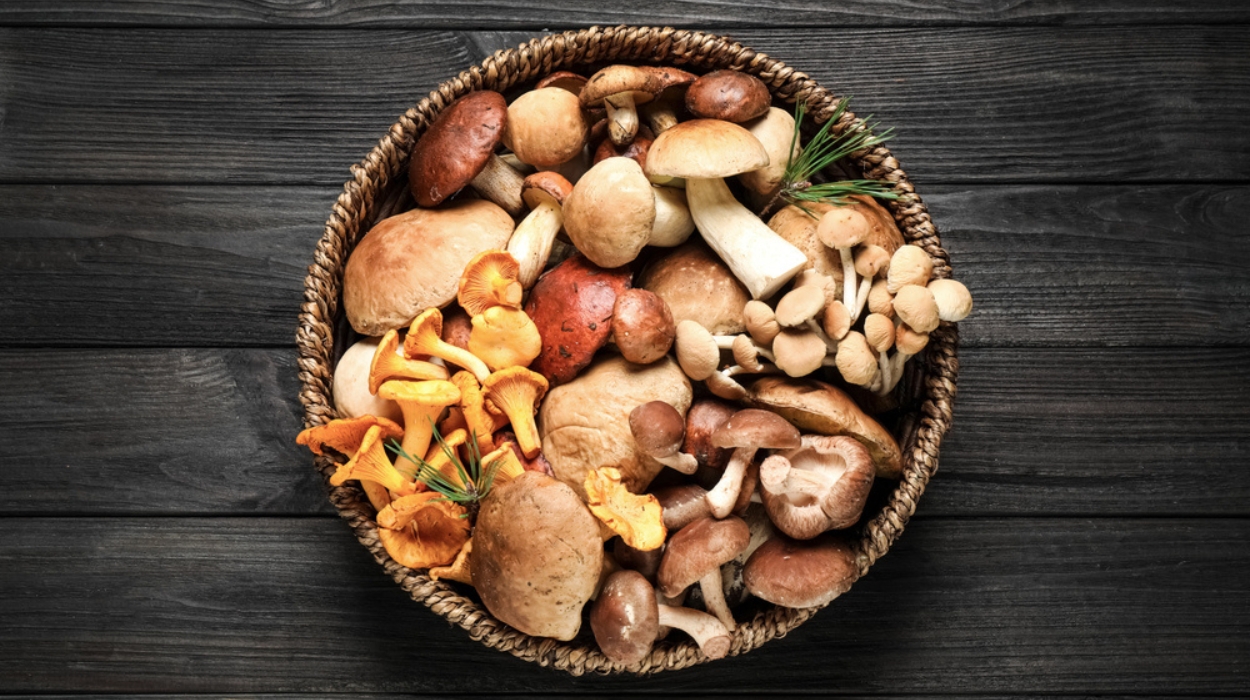 are mushrooms good for weight loss