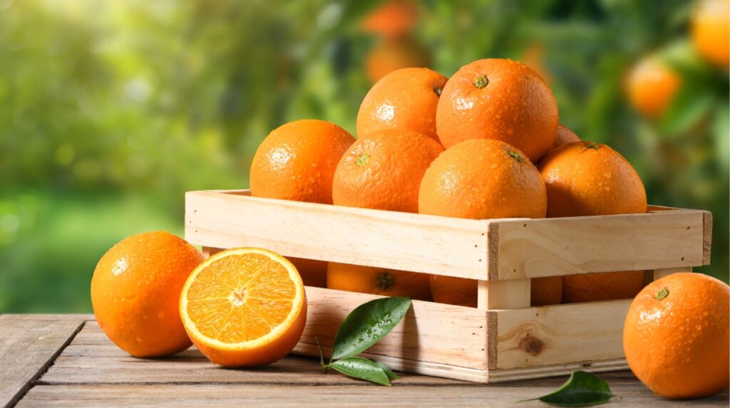 are oranges good for weight loss