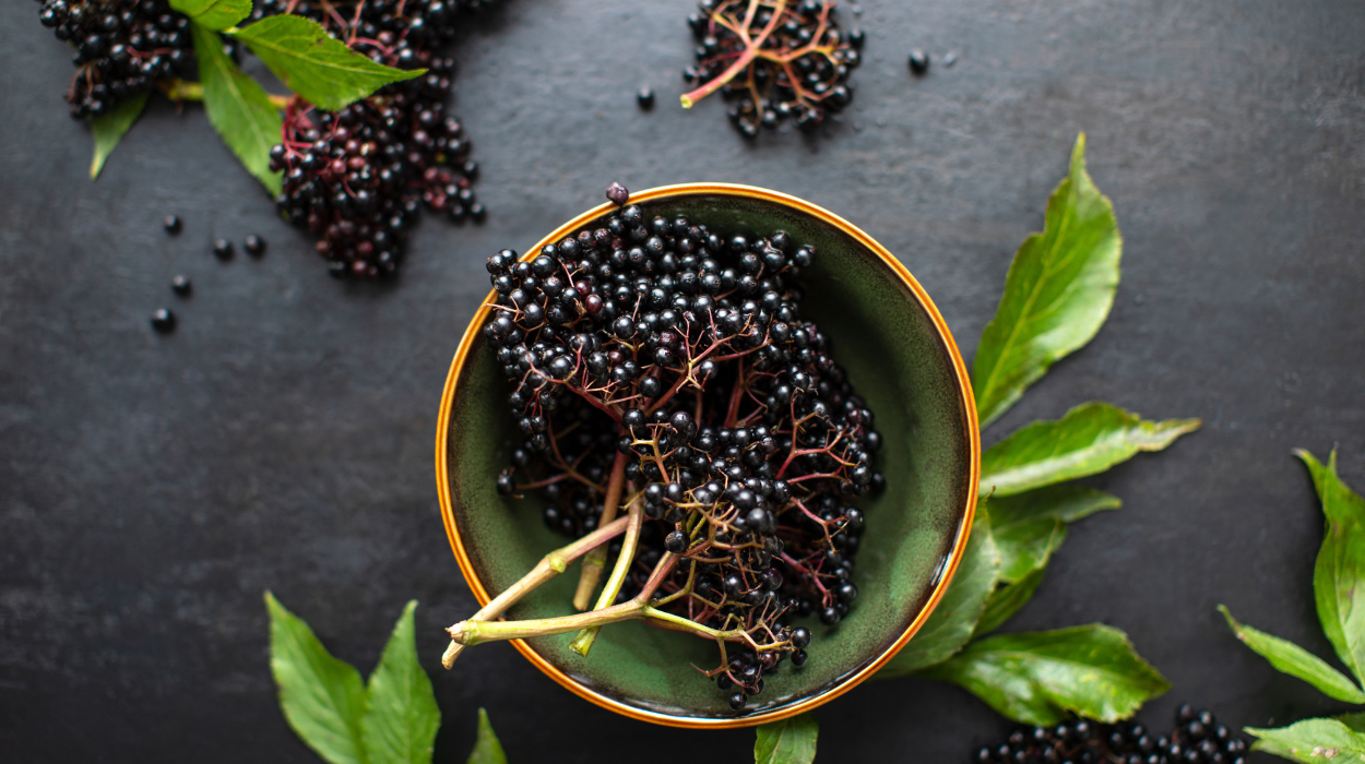 elderberry benefits for skin 1