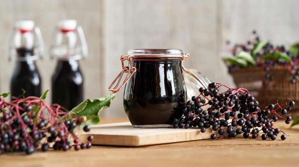 elderberry syrup benefits